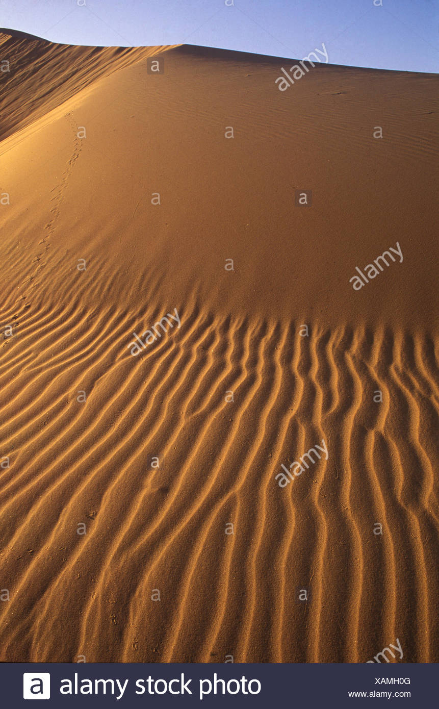 El Pinacate Dunes Sierra Blanca In Background Dunas Del