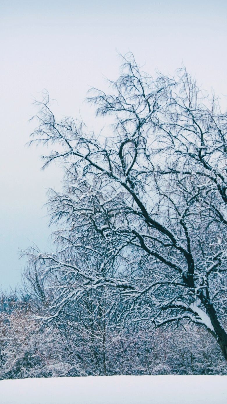 Gorgeous Winter Wallpaper For iPhone