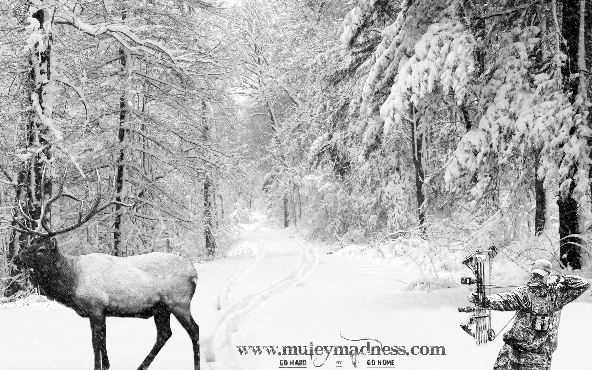 Elk In Snow Wallpaper Winter