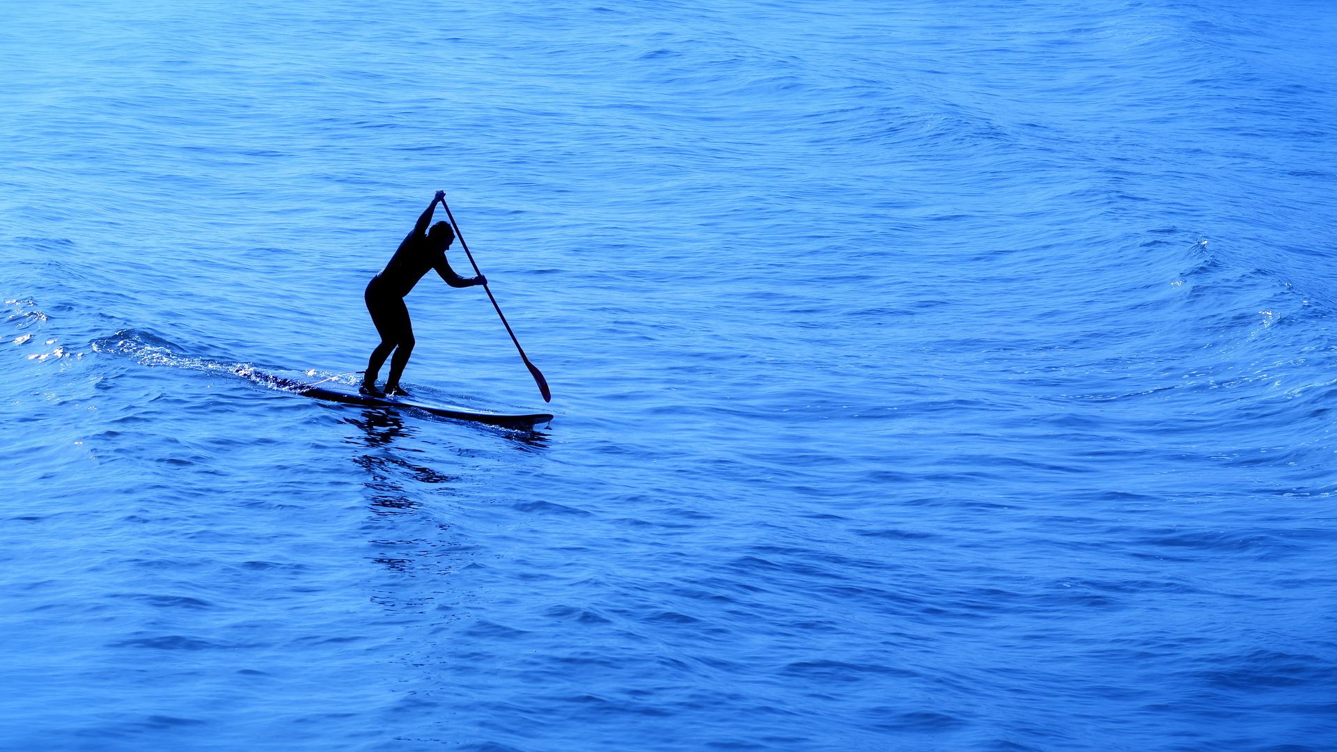Ocean Sup Surfing Full HD Wallpaper Standup Paddleboarding