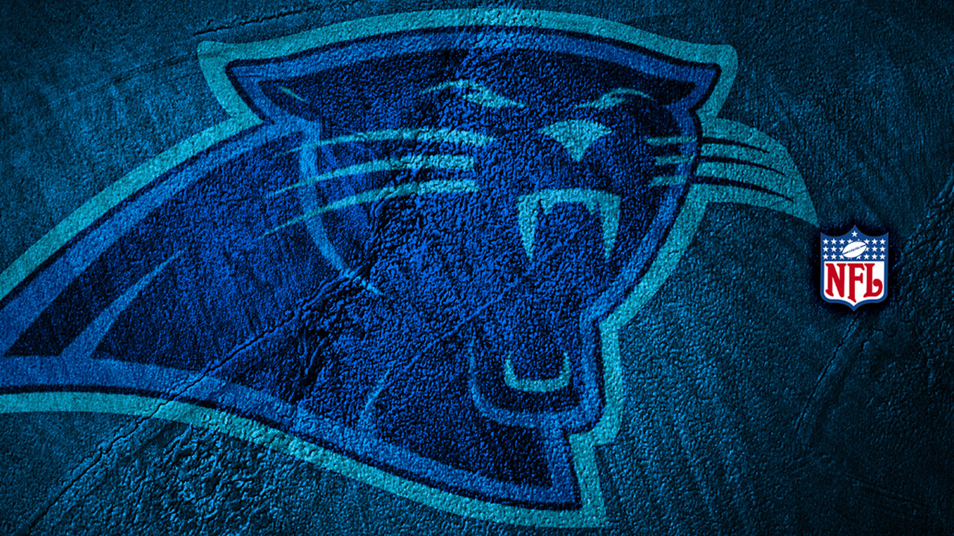 Carolina Panthers Puter Wallpaper Desktop Background
