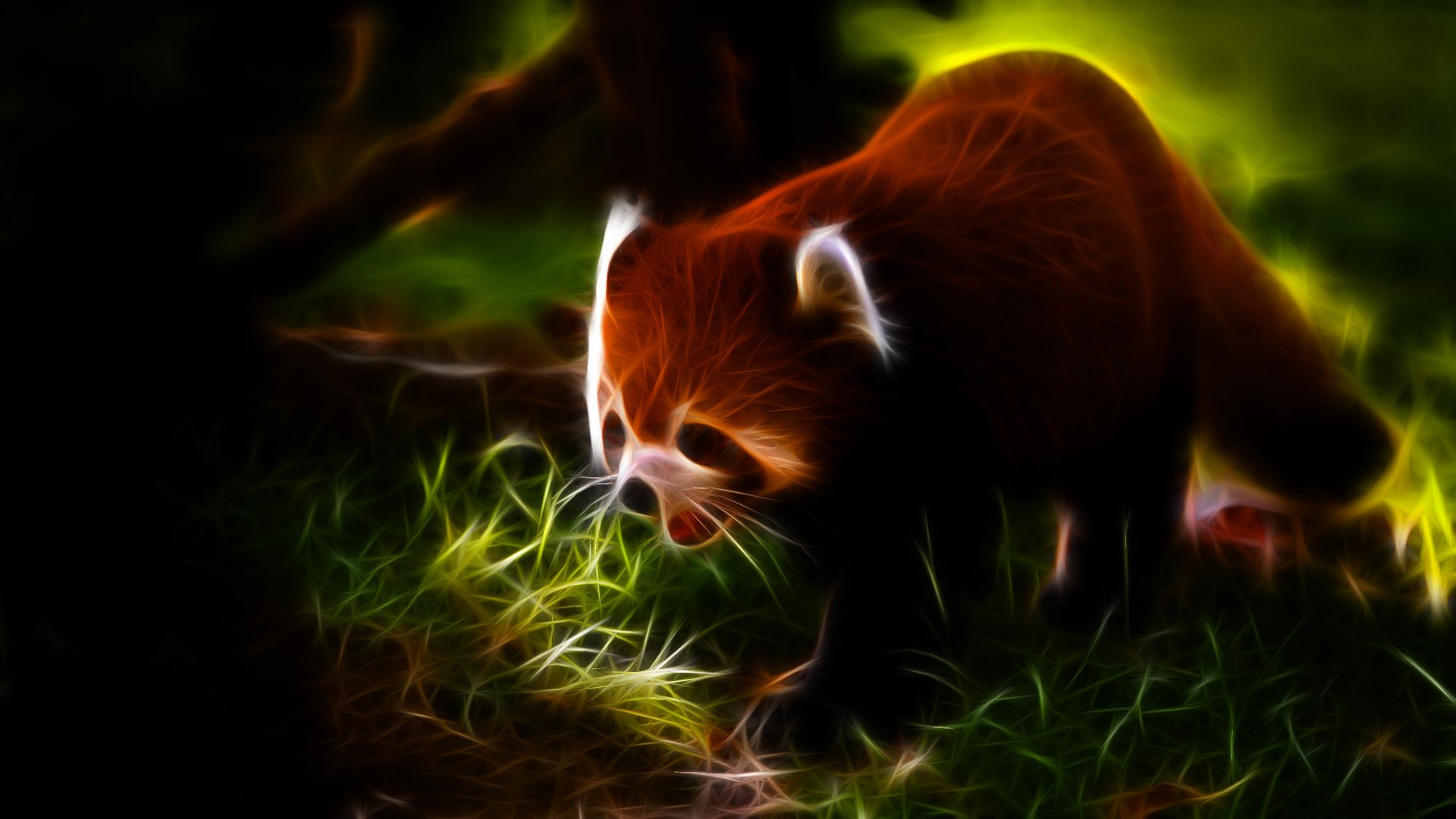 Animals Fractalius Red Pandas Wallpaper