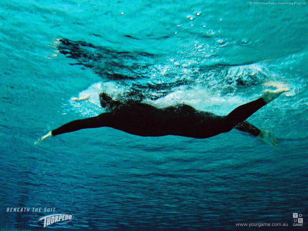 swimming cool wallpaper   swimming Wallpaper 1024x768