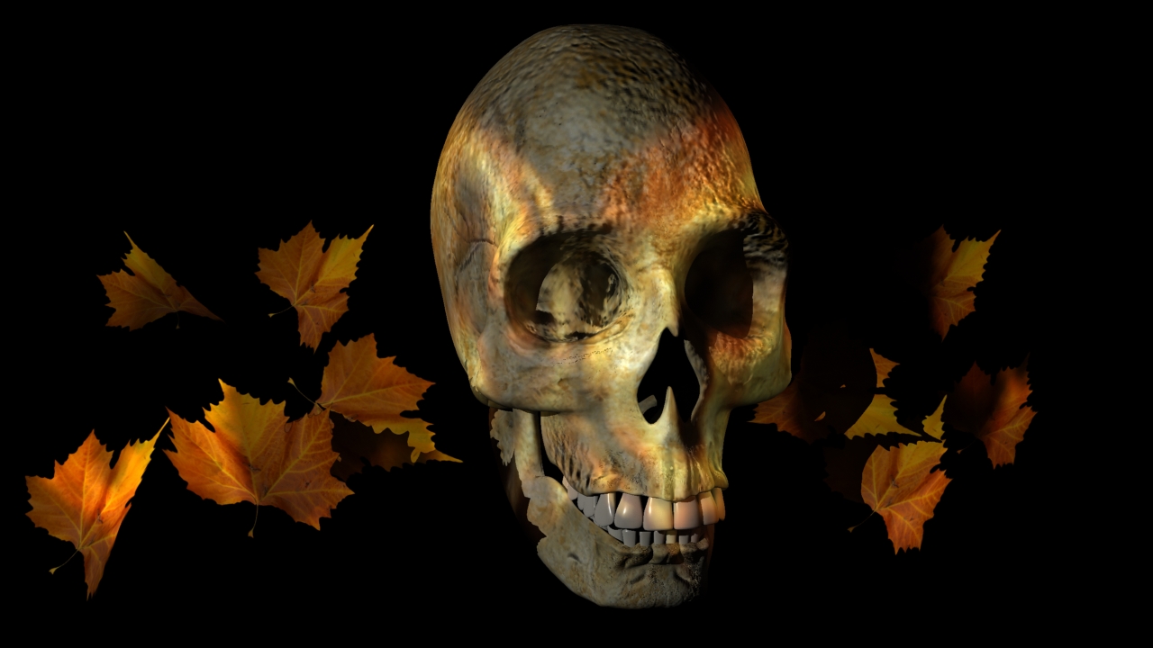 Skulls Fire Black Background Skull Desktop Wallpaper