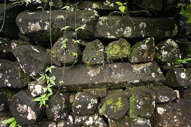 Ancient Stone Wall Ruins Wallpaper Mural Self Adhesive