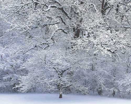 The Winter Scenes Screensaver Softpedia