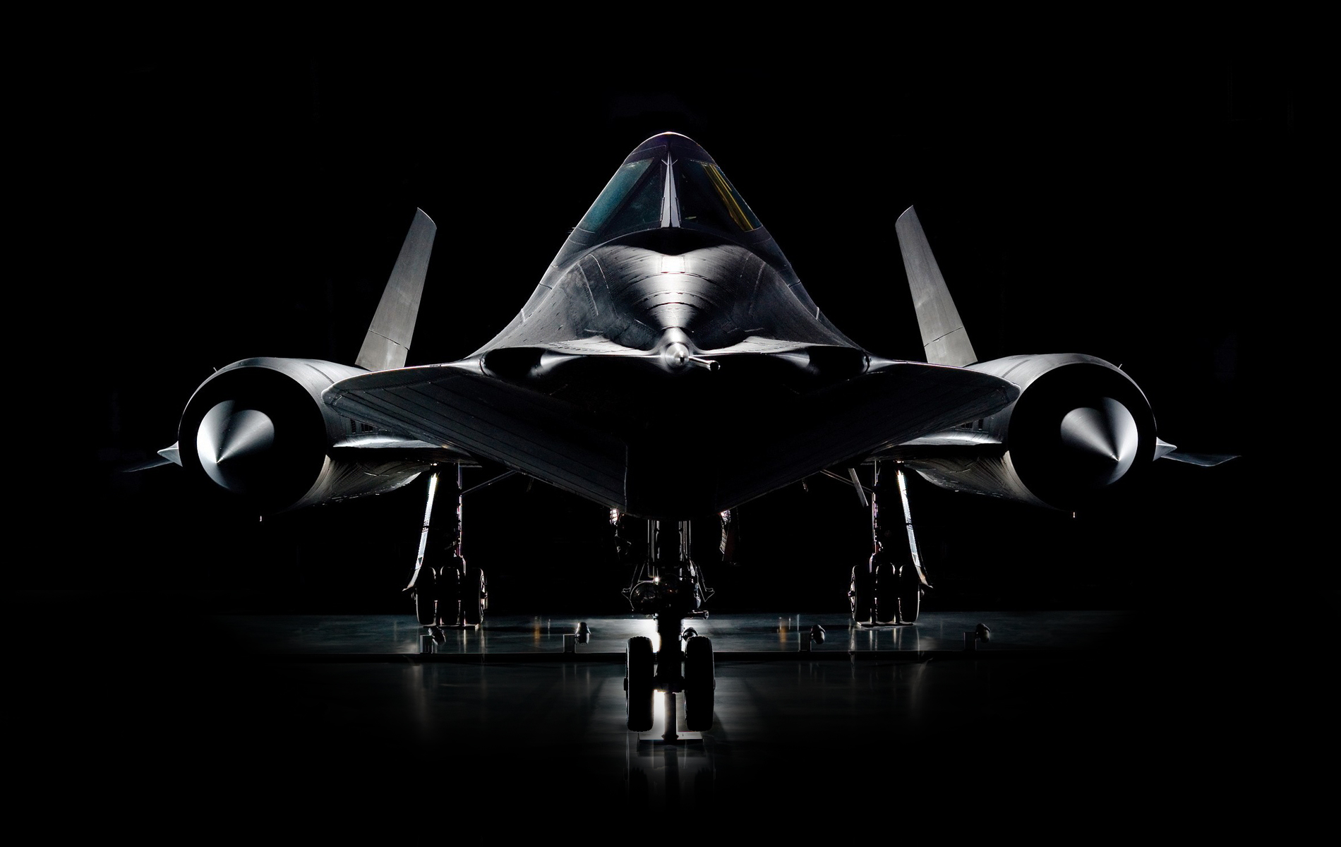 Daily Wallpaper Sr Blackbird I Like To Waste My Time