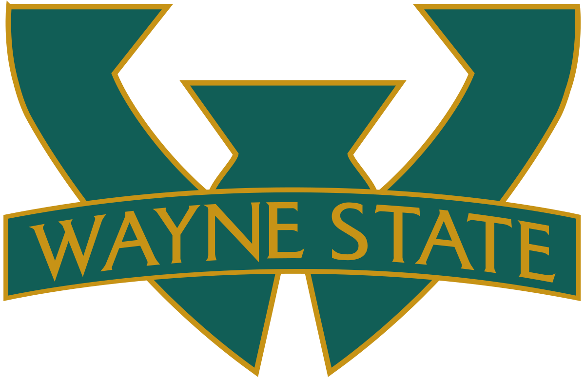 Wayne State Football Wallpaper
