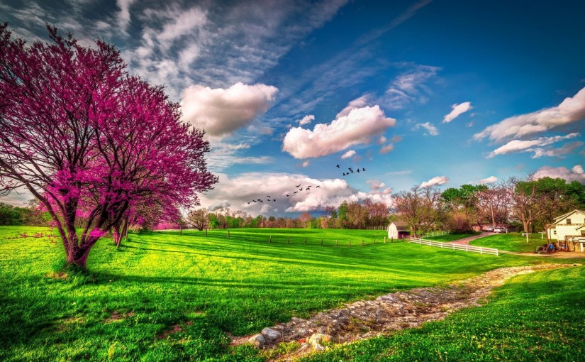 Spring HD Wallpapers HD Wallpapers Early