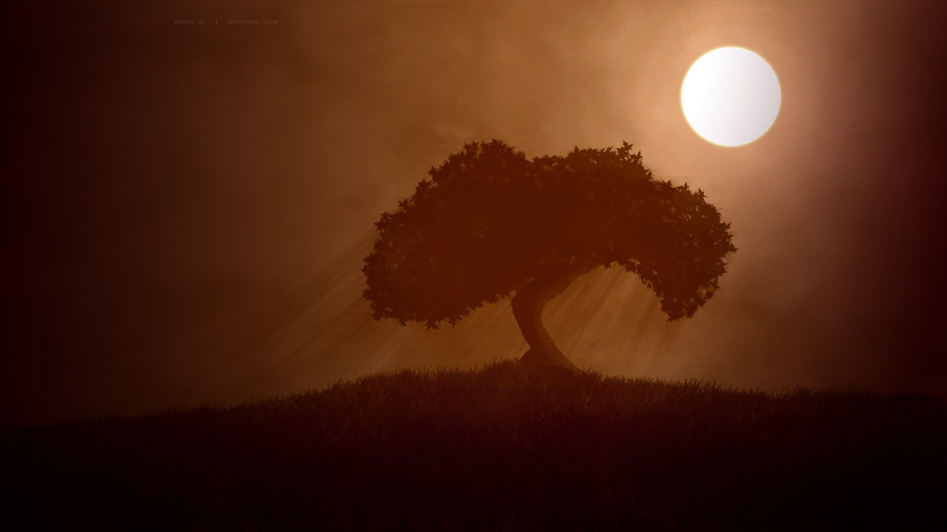 Minimalist Nature Wallpaper Group
