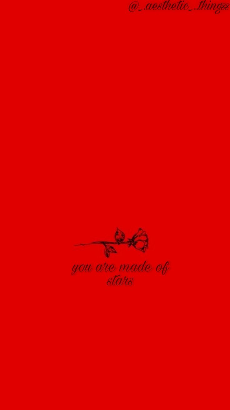 Red Flower Aesthetic Wallpaper