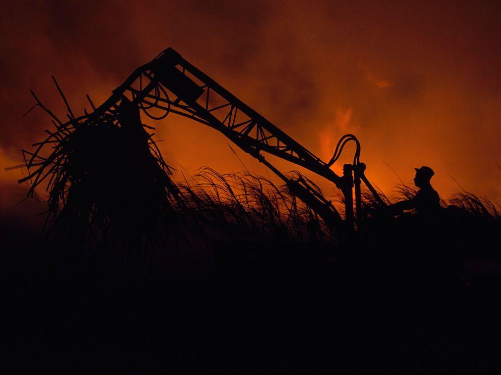 Of A Farm Worker Silhouetted Against Controlled Blaze In Puerto Rico
