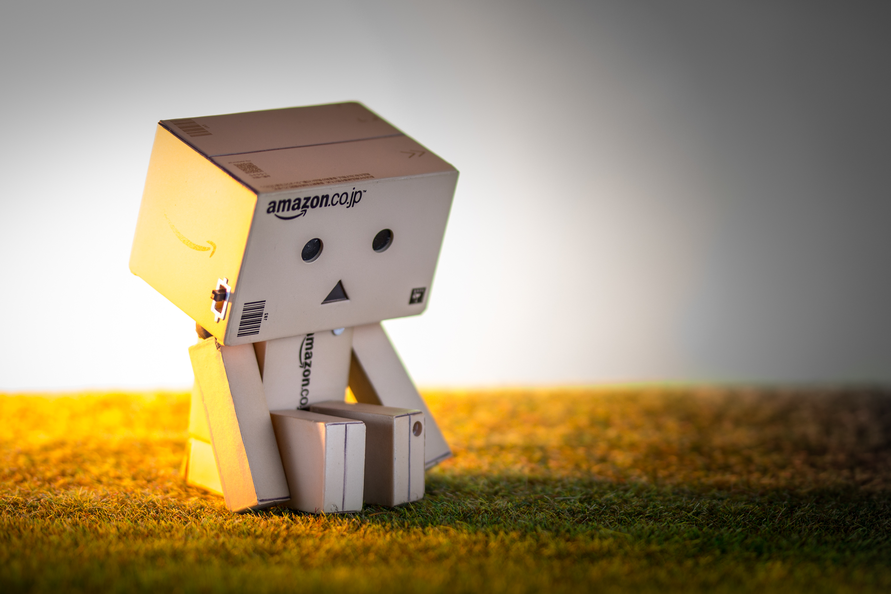 Danbo Wallpaper Pictures Image