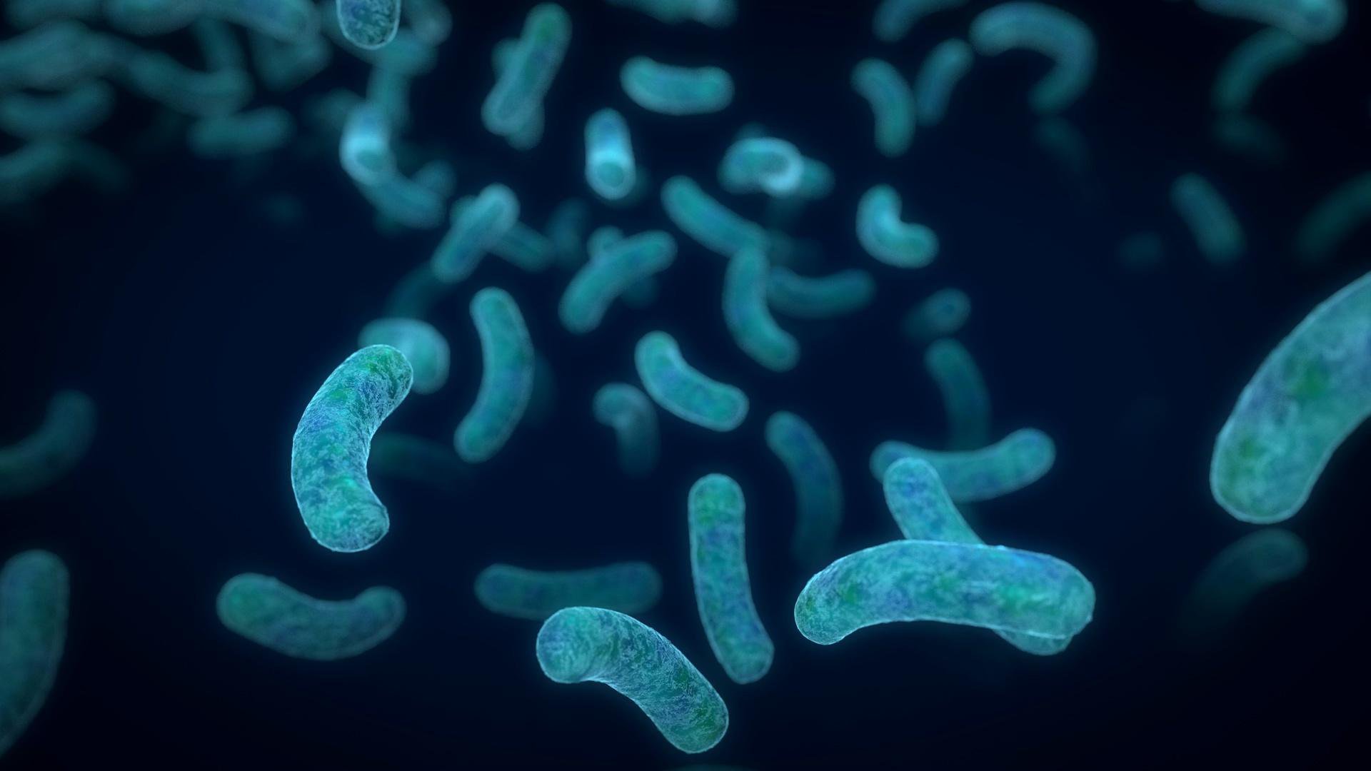 Six Microbes Living In You Nova Pbs
