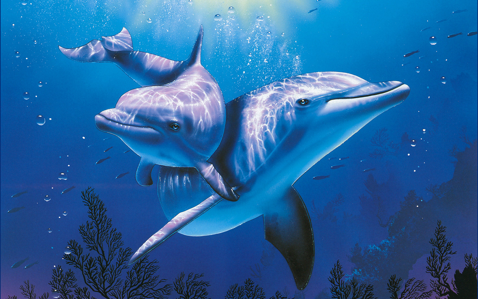 Dolphins Underwater Ocean Sea Wallpaper Background