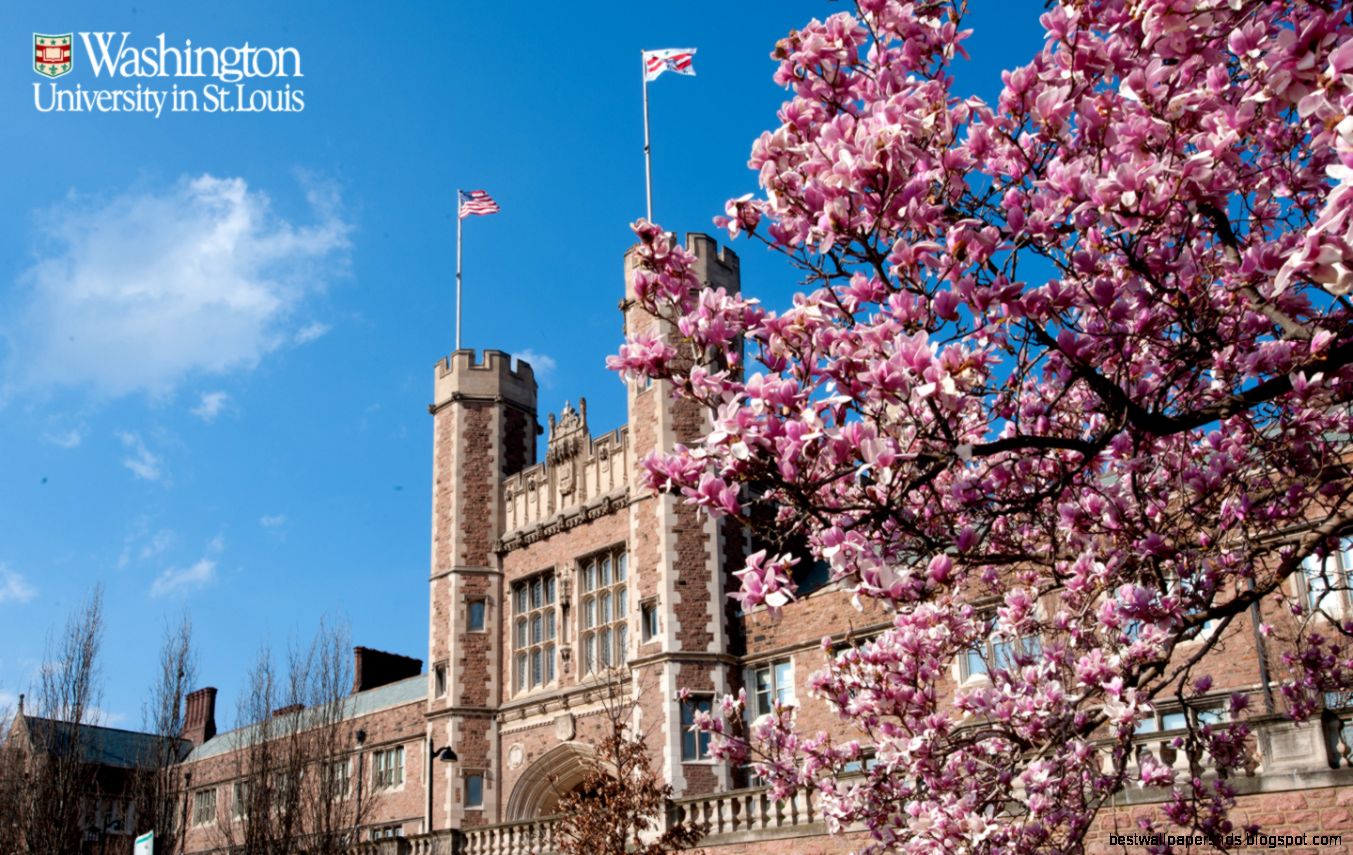 Washington University In St Louis Wallpaper