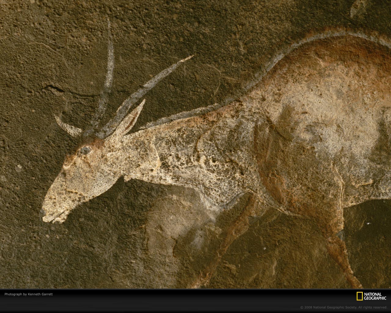 Cave Art Photo Of The Day Picture Photography Wallpaper