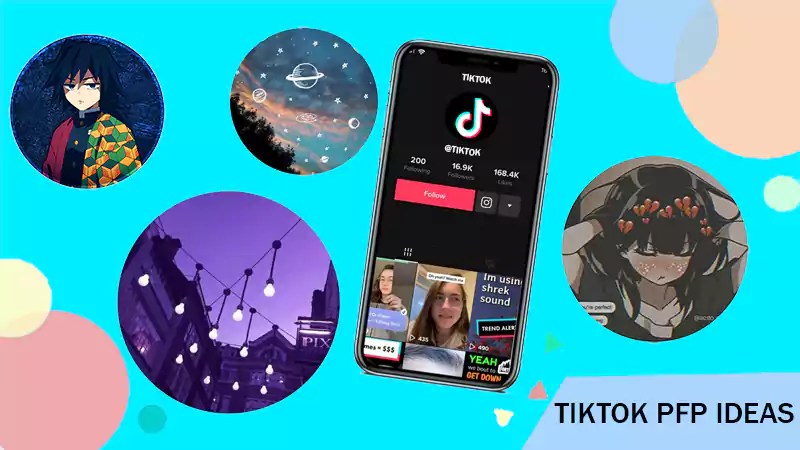 Cute Cool Funny Good Tiktok Profile Picture Wallpaper