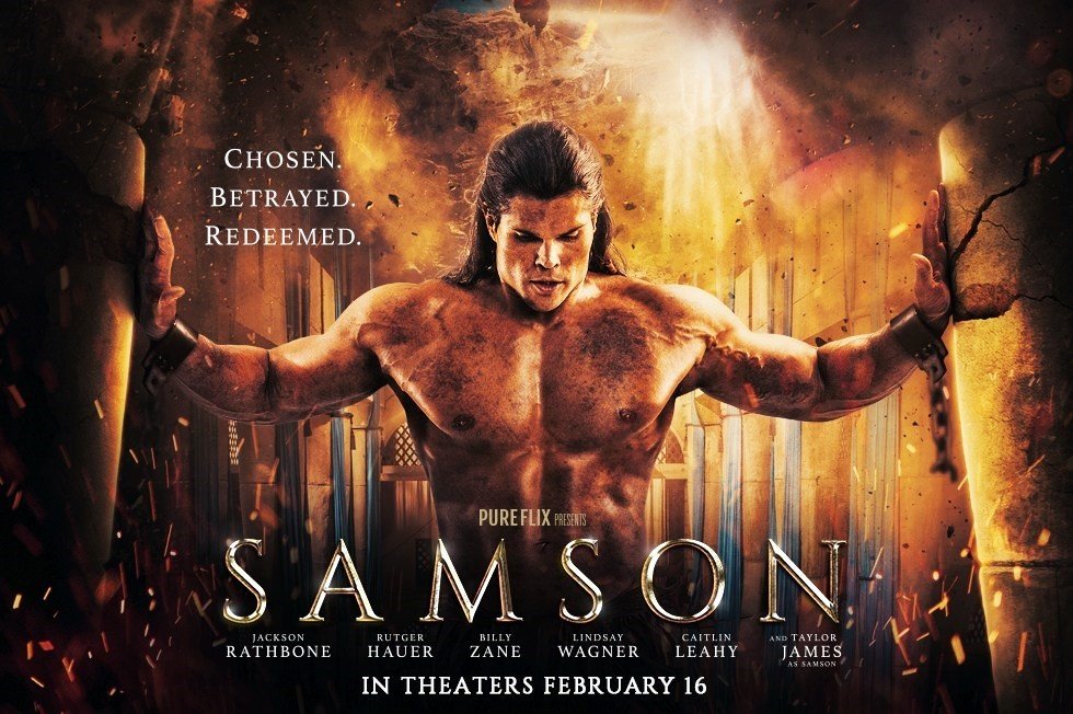 Samson Picture