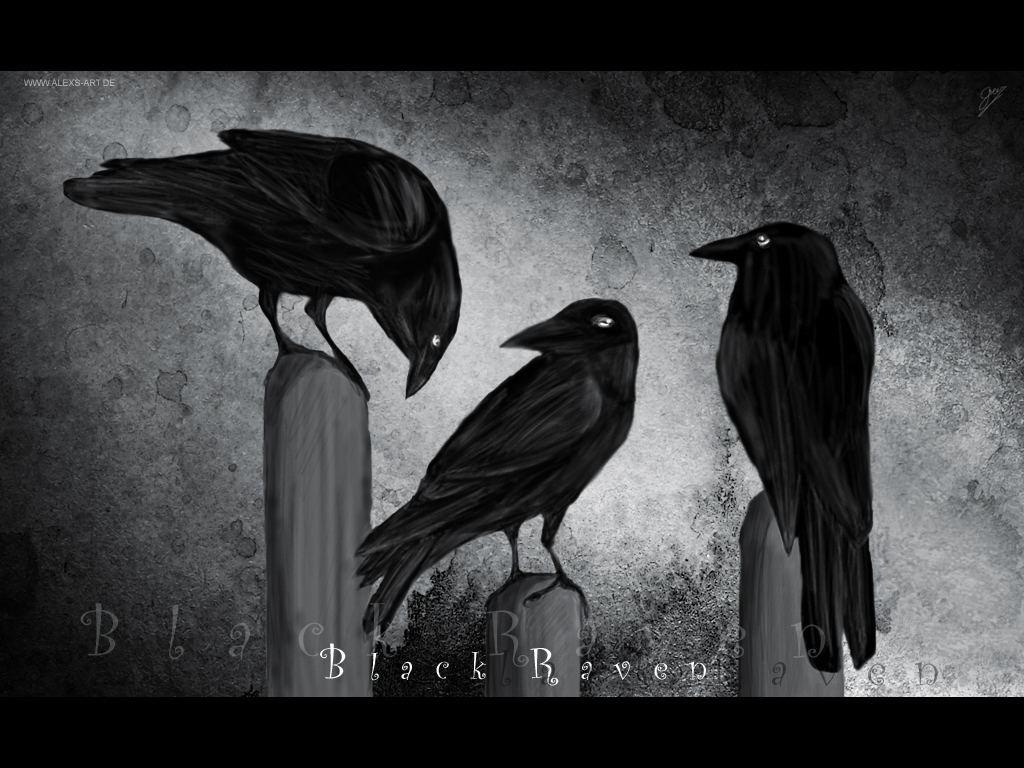 45+] Dark Raven Wallpaper - WallpaperSafari