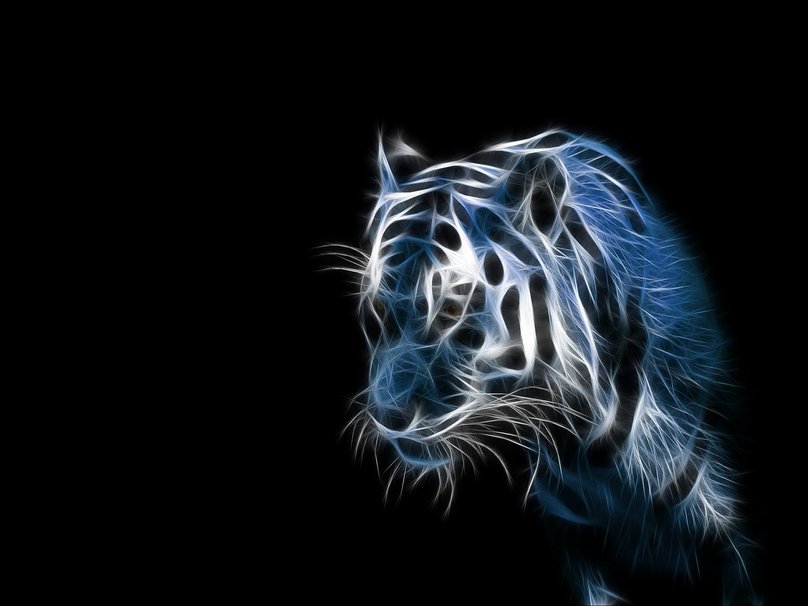 Abstract Tiger Wallpaper