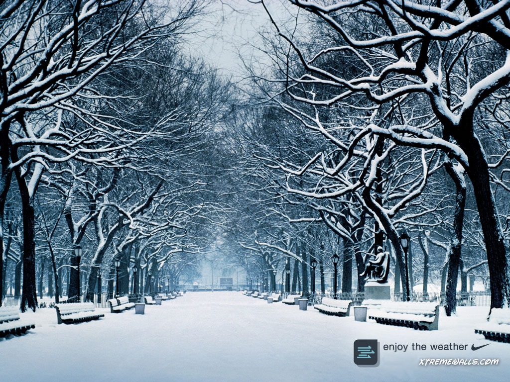 Wallpaper Right Click And Choose Set As Winter