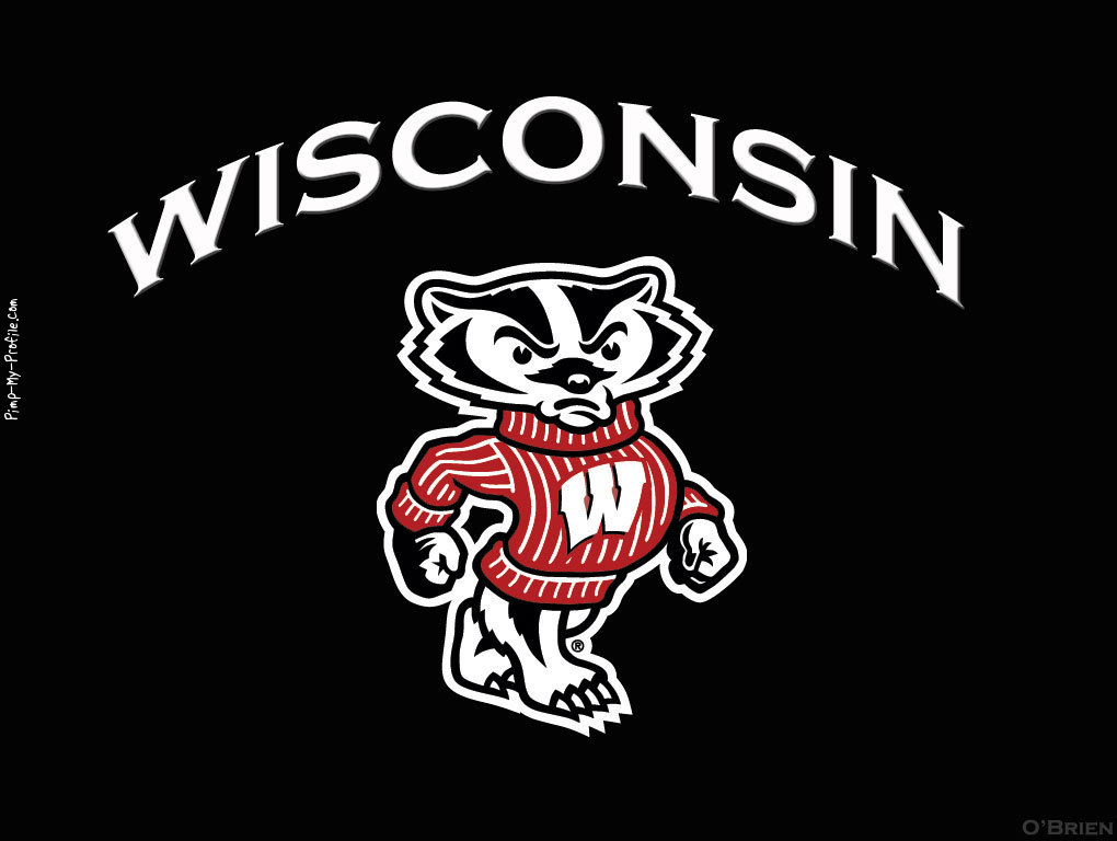 49+] Wisconsin Badger Wallpapers Free