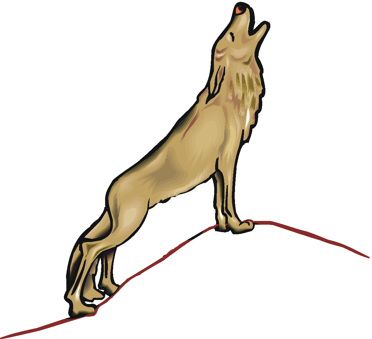 Howling Coyote Clipart Wallpaper