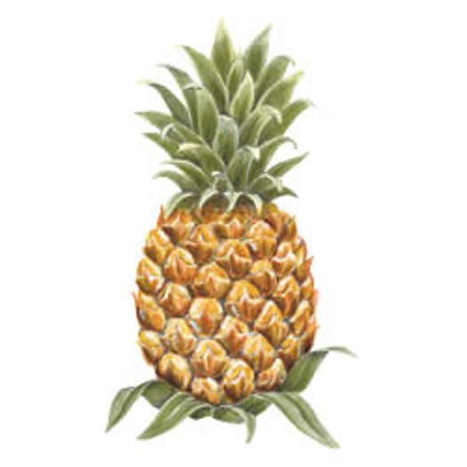 Pineapple Wallies