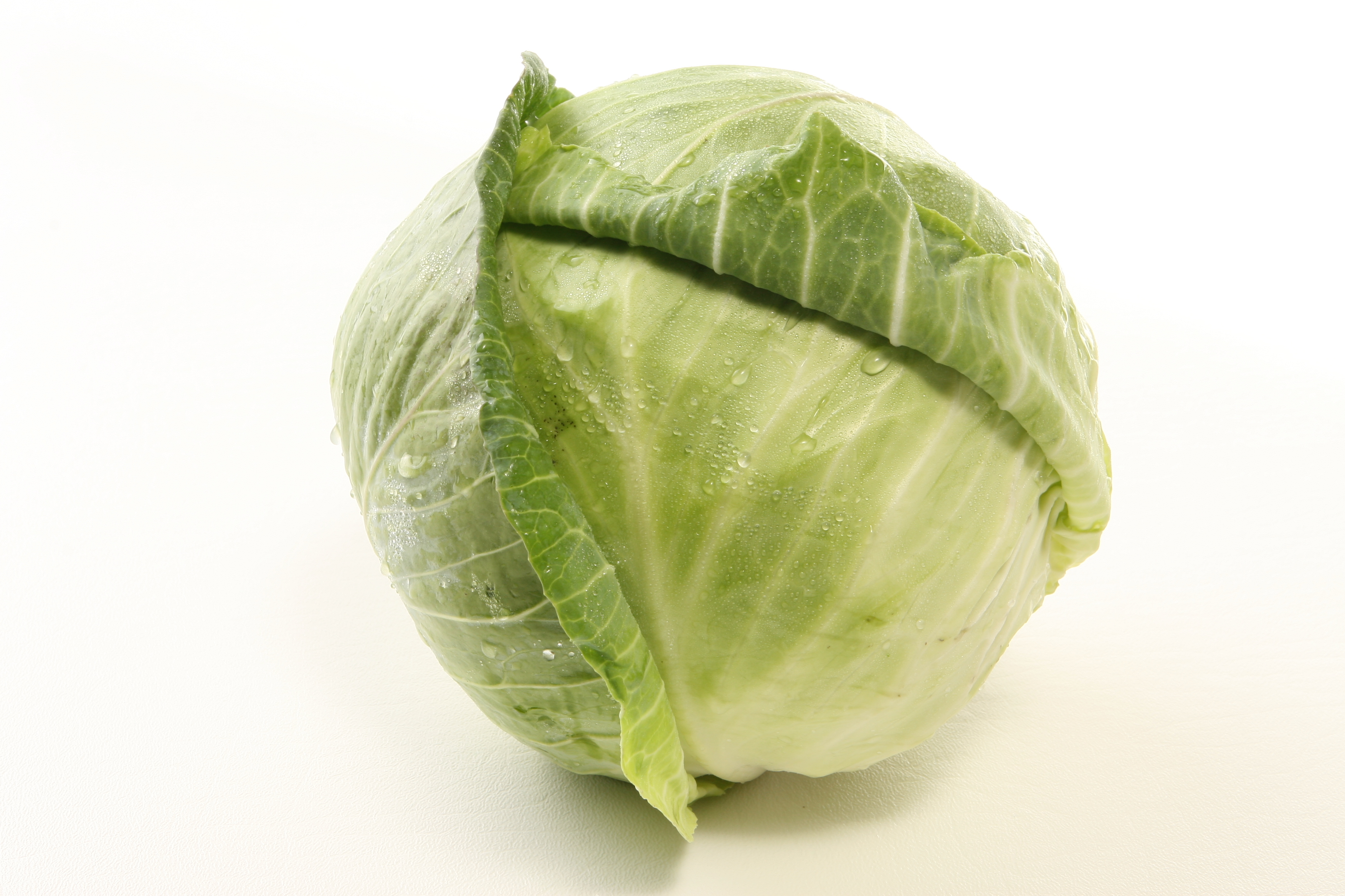 Cabbage Wallpaper High Quality