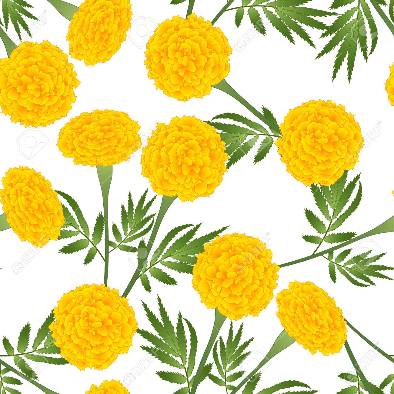 🔥 [40+] Marigold Background | WallpaperSafari