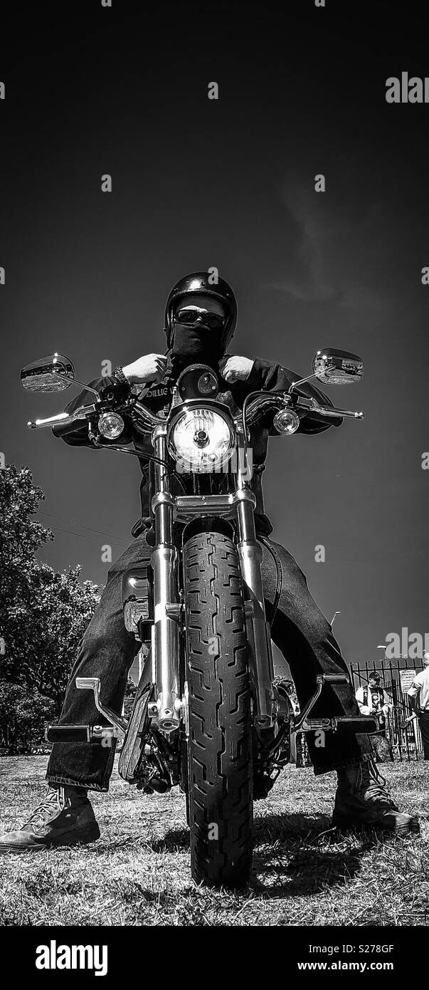 Black And White Shot Of A Chopper Motorcycle Rider Fastening His