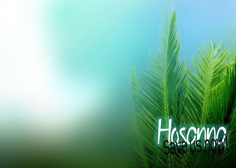 Free download Palm Sunday Images Whatsapp Dp Fb Profile Cover Hd Wallpapers  2016 [800x568] for your Desktop, Mobile & Tablet | Explore 45+ Sunday  Wallpaper | Easter Sunday Wallpaper, Sunday Morning Wallpaper, Resurrection Sunday  Wallpaper