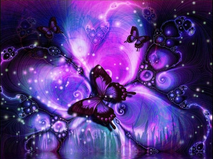Purple Butterfly Background Big Graphics Code