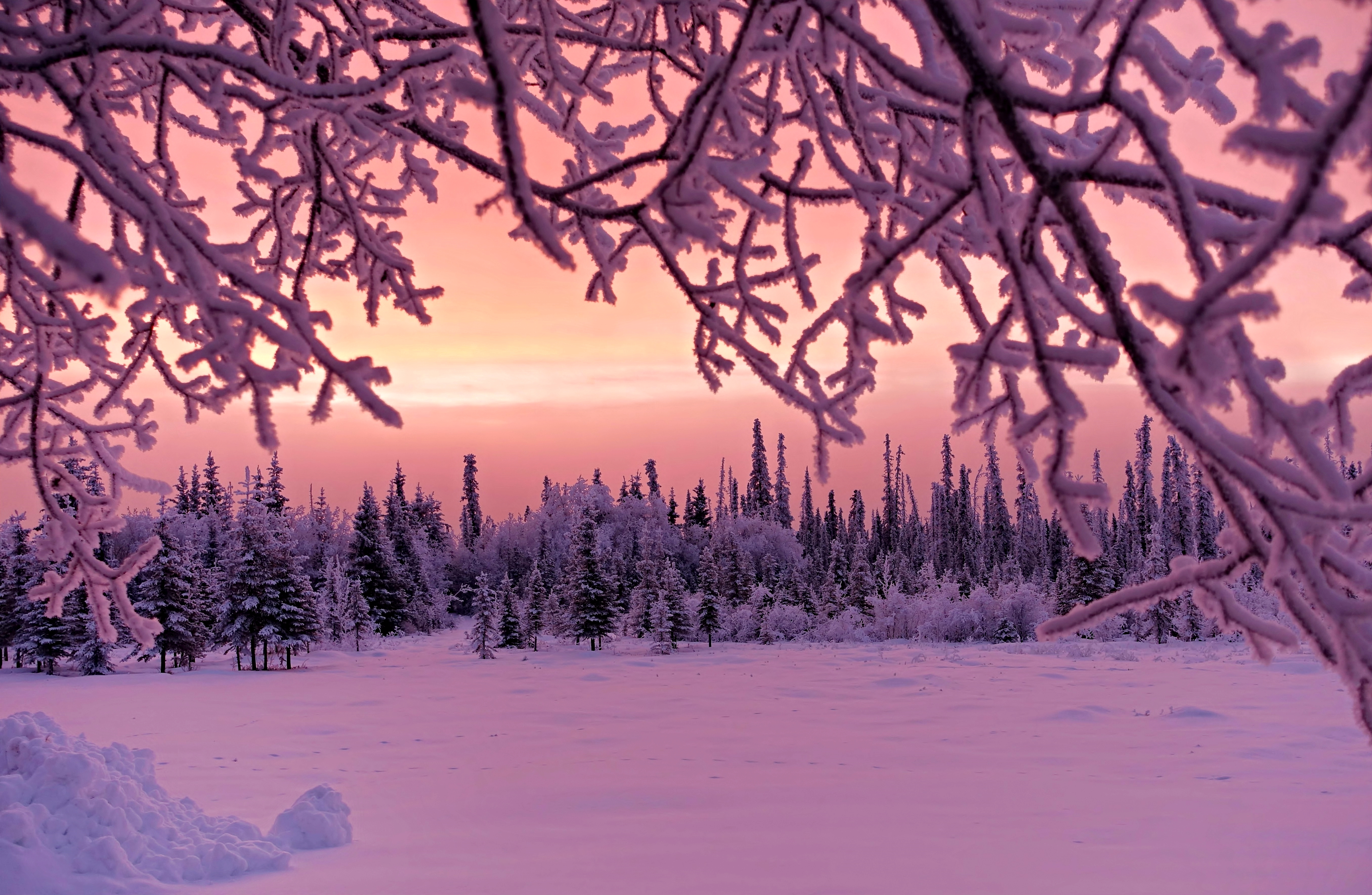 Winter Sunset 4k Ultra HD Wallpaper Background Image