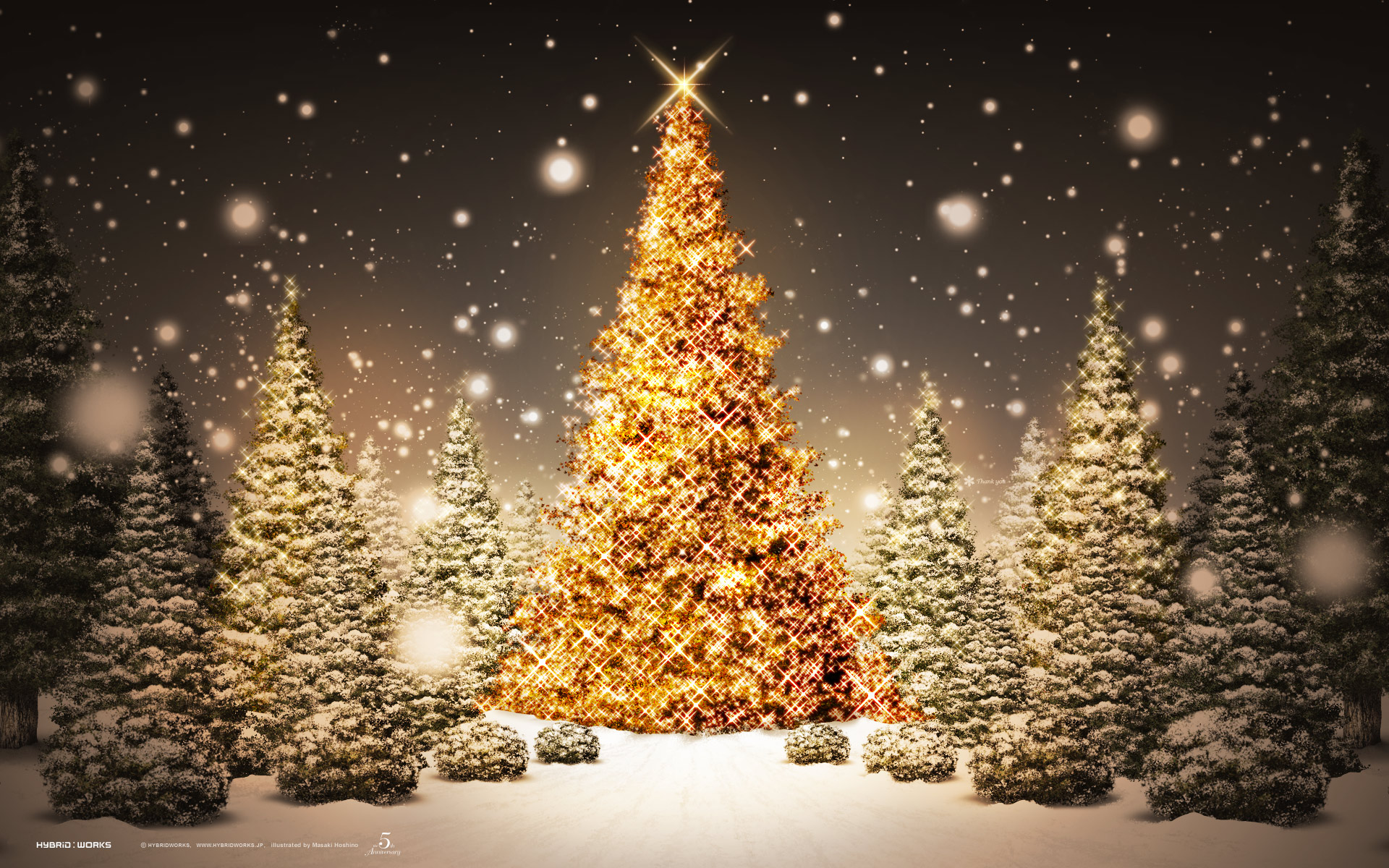 Download Christmas Trees wallpaper beautiful christmas trees