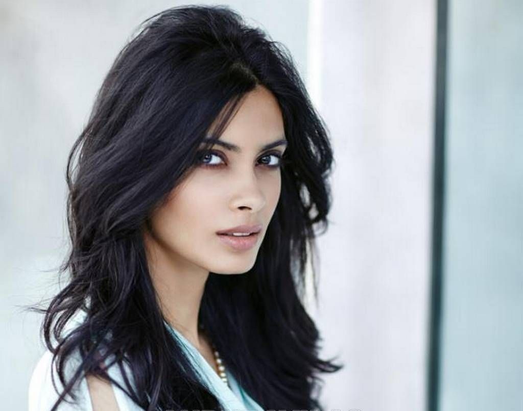 Diana Penty Wallpaper HD Photo Shared By Cord37 Fans Share Image