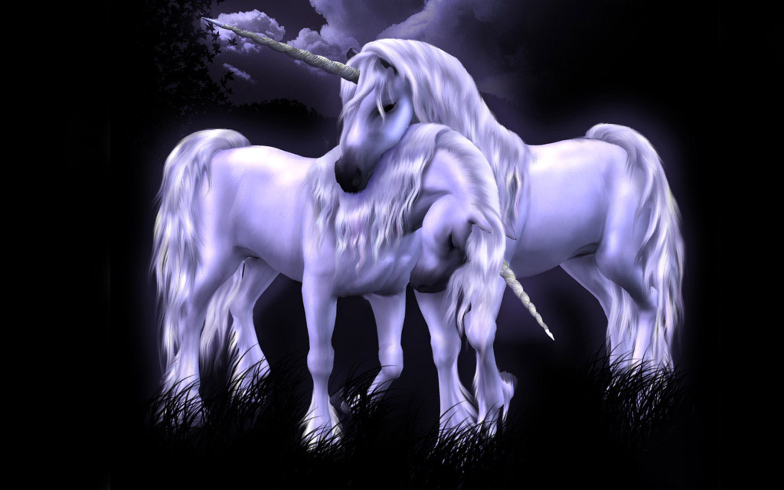 unicorn love Wallpaper Background