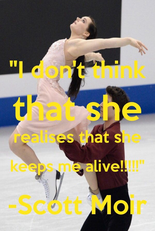 Best Image About Virtue Moir Fans Only