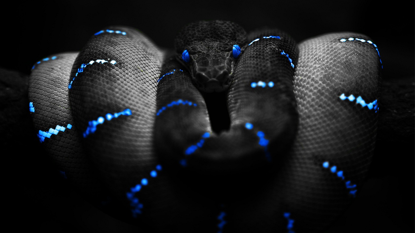 Snakes Snake Eyes