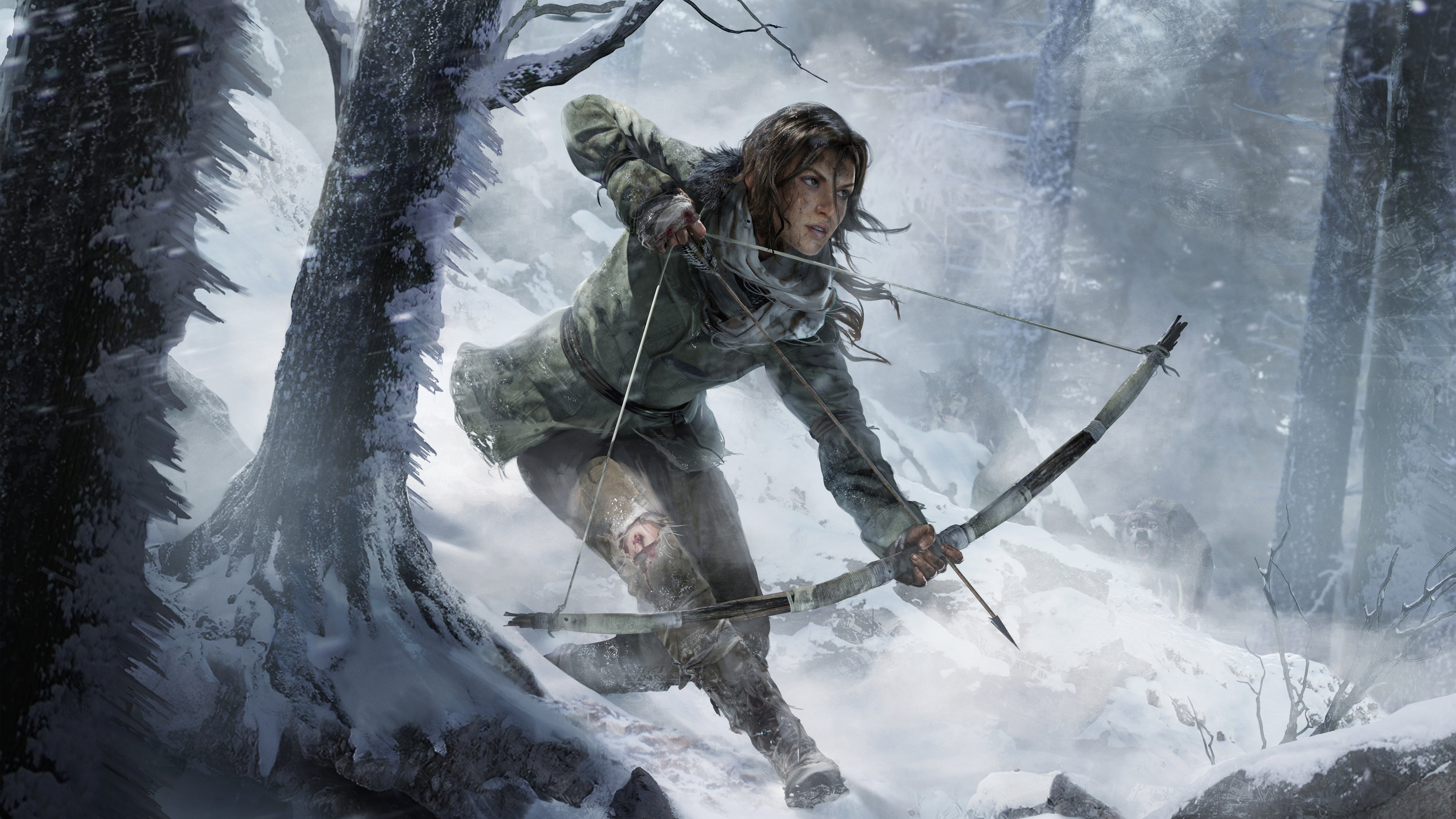 Rise Of The Tomb Raider 5k Lara Croft