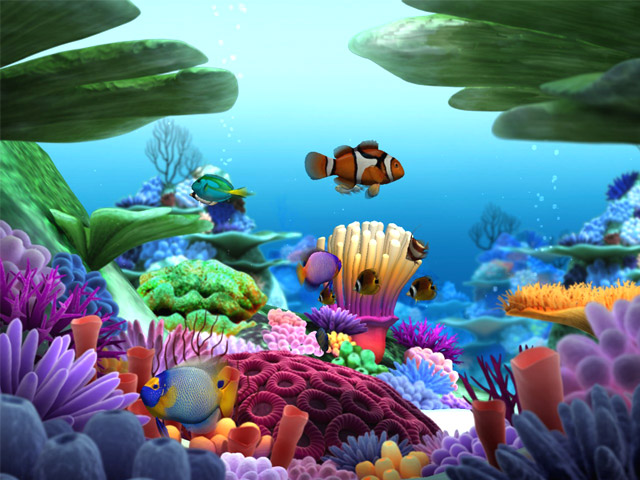 Are Here Home S Marine Life 3d Screensaver