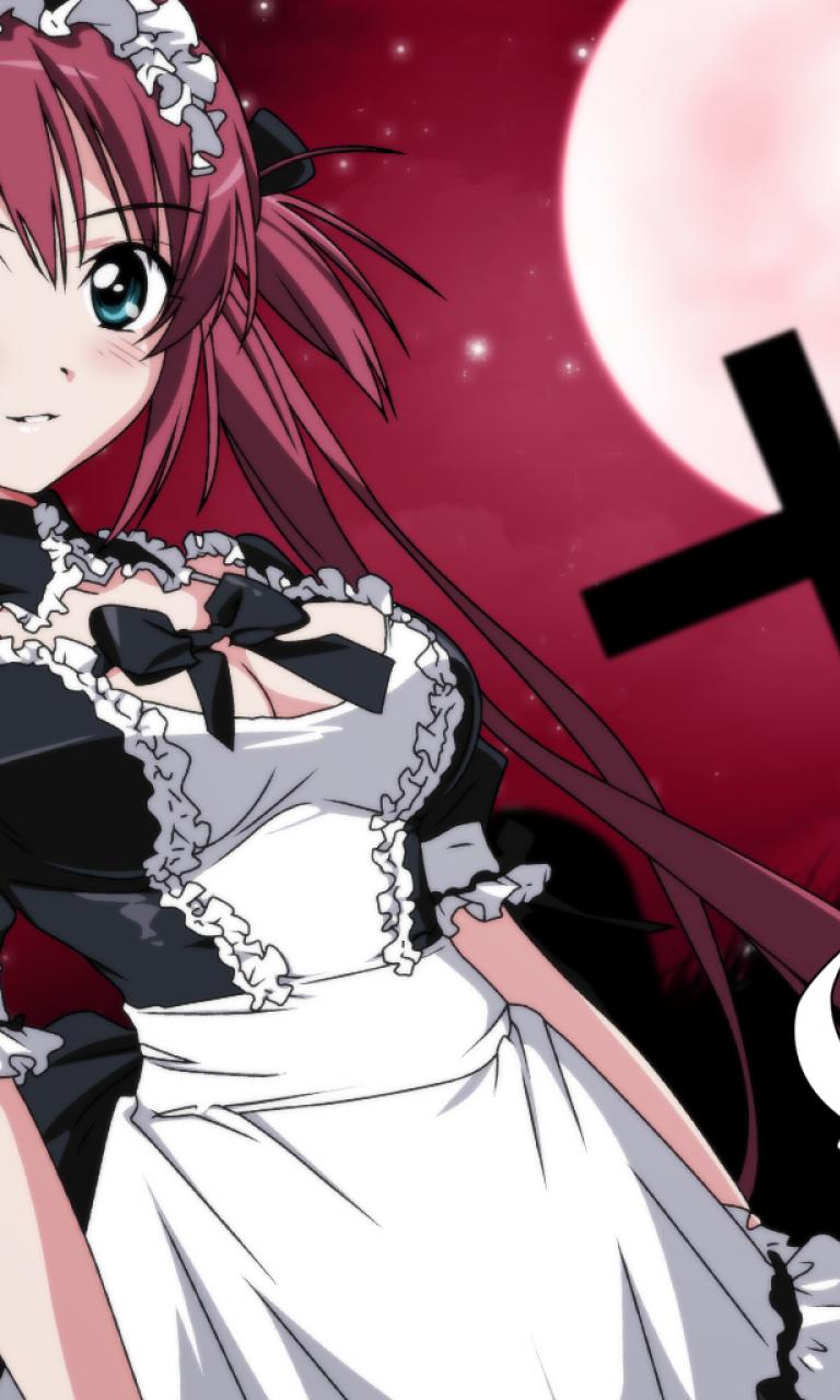 Maids Queens Blade Airi HD Wallpaper Anime Manga