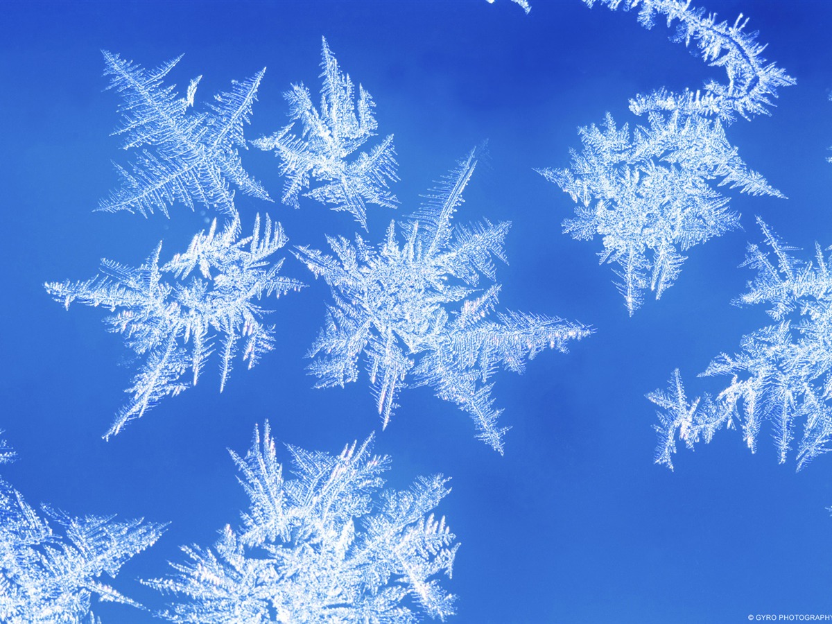 Formation Of Ice Crystals Windows HD Wallpaper