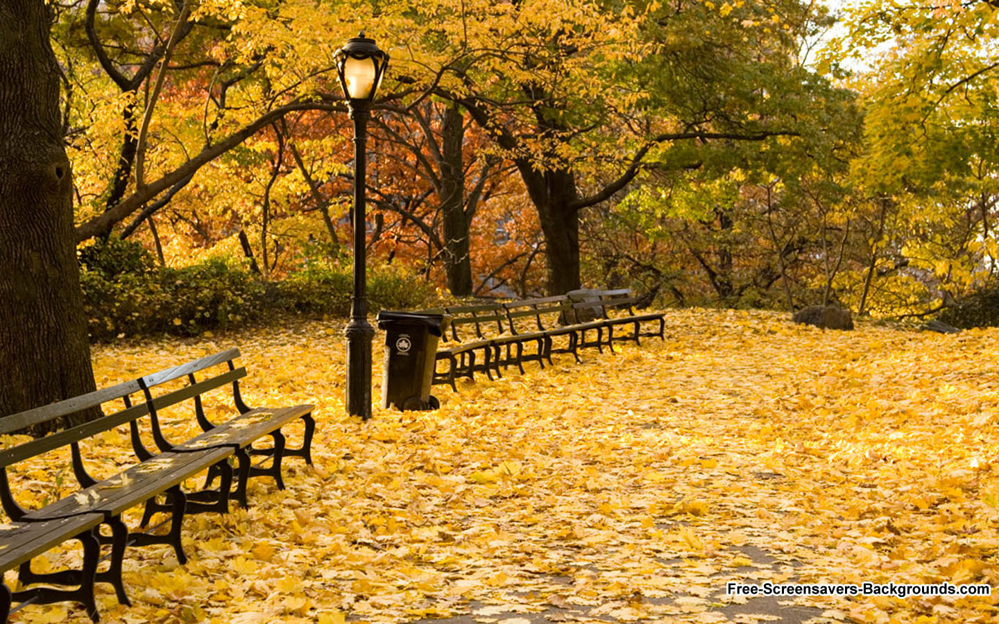 Central Park New York City Autumn Screensavers And Background