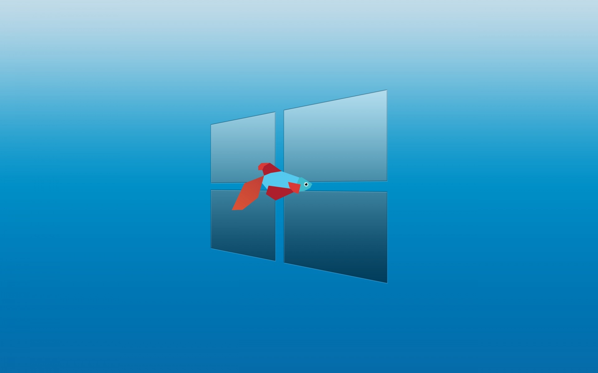 Download Windows 8 Background Windows 8 Metro Fish Wallpaper x