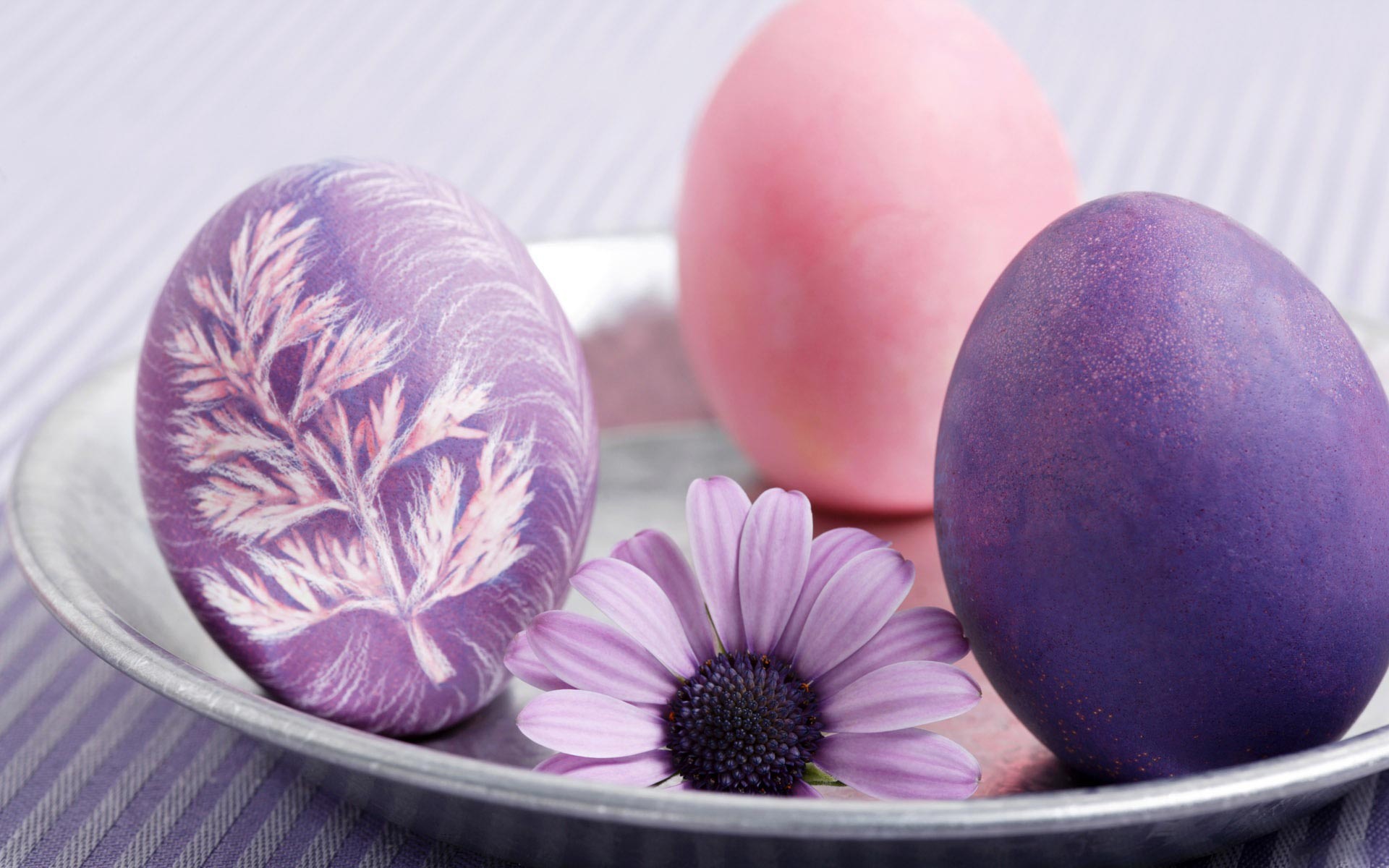 Easter Eggs Desktop Wallpaper