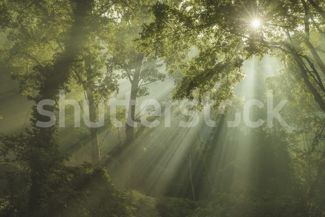Sun Rays Wallpaper