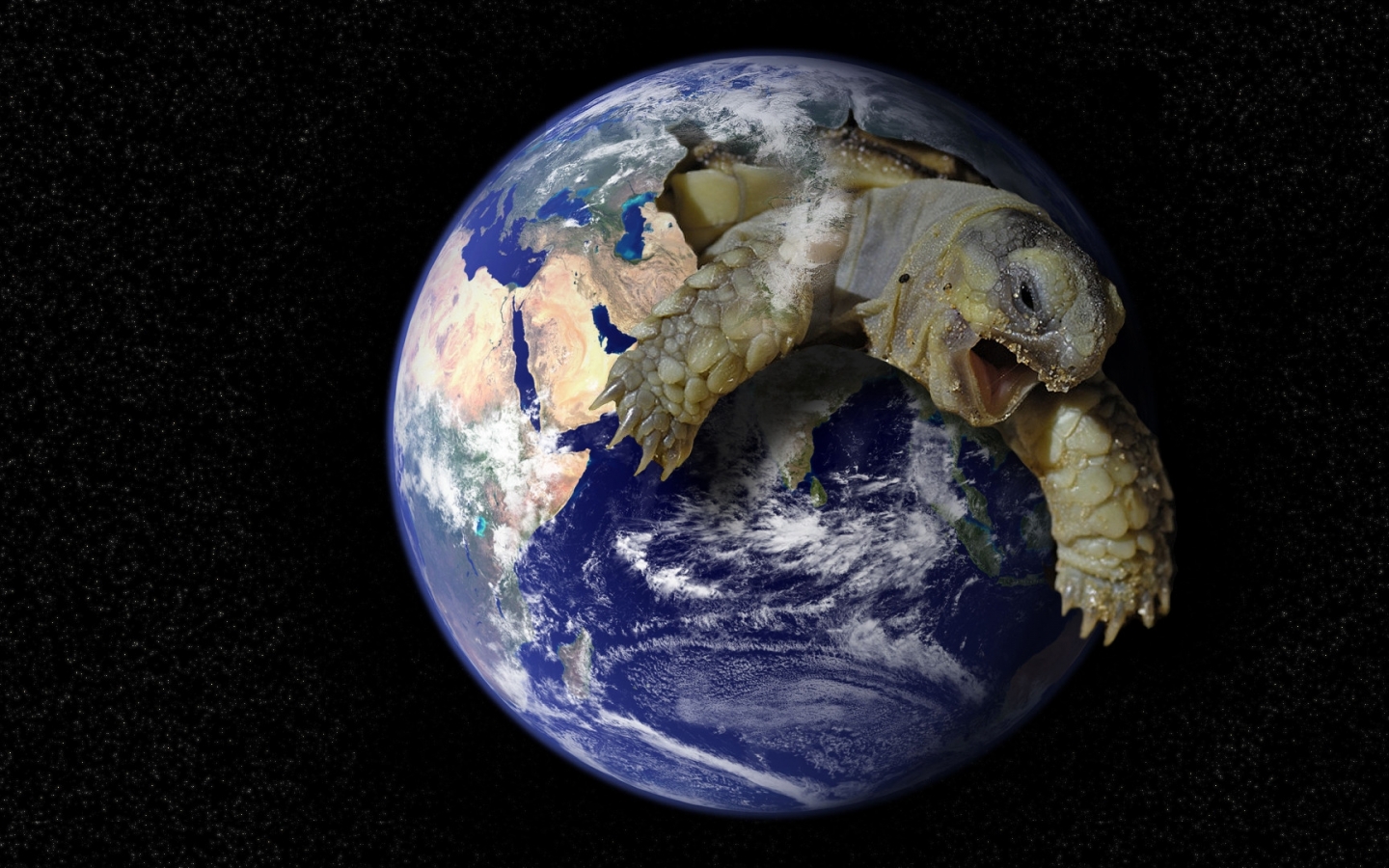Plas Earth Turtles Photomanipulations Wallpaper