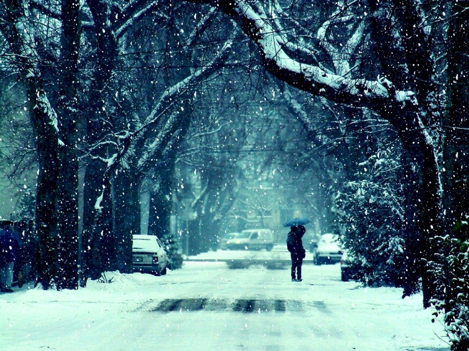 Winter Frost Snow Road Trees HD Wallpaper